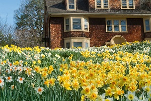 Ako zamaskova� nevzh�adn� k�ble a elektroin�tal�ciu v interi�ri