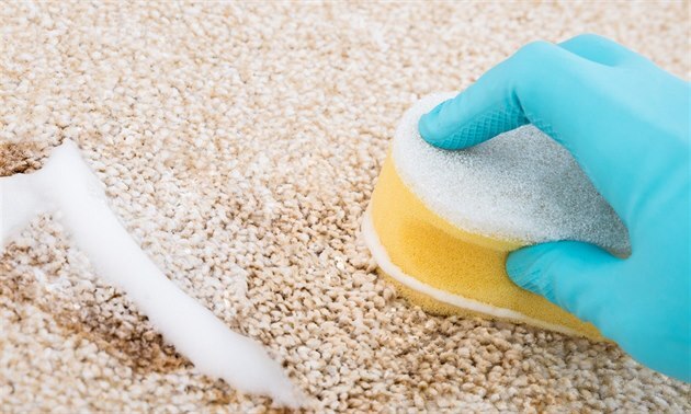 Ako ma� naozaj �ist� koberec