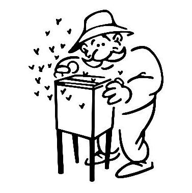 Ako za�a� so v�el�rstvom?