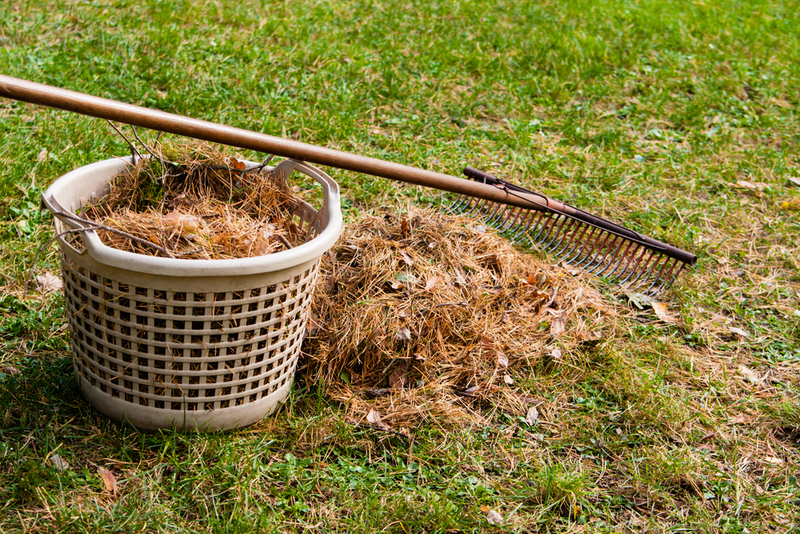 Ako spr�vne zazimova� va�u z�hradu?