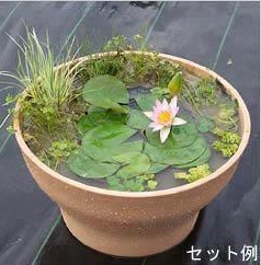 Ako si vytvori� jednoduch� jazierko